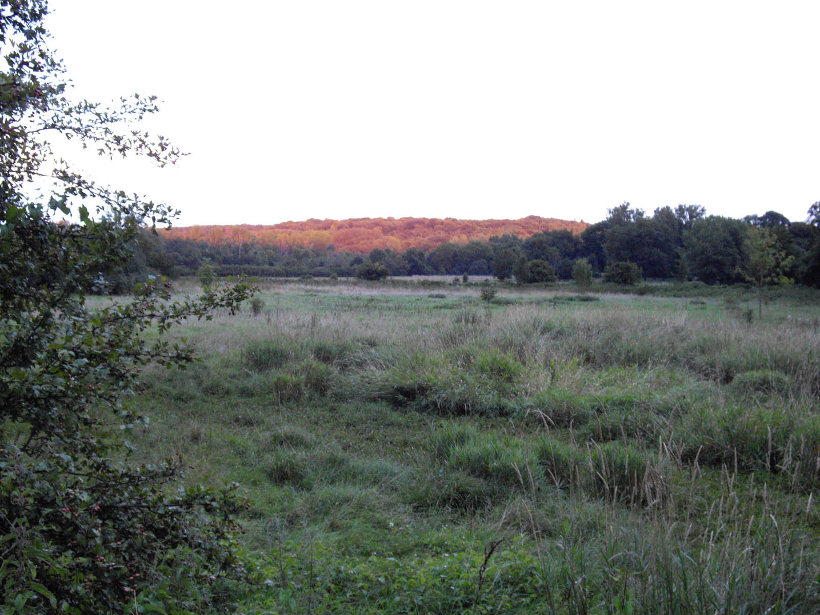 Automne en été (dû au coucher de Soleil)